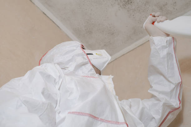 Best Certified Mold Removal  in Melwood, MD