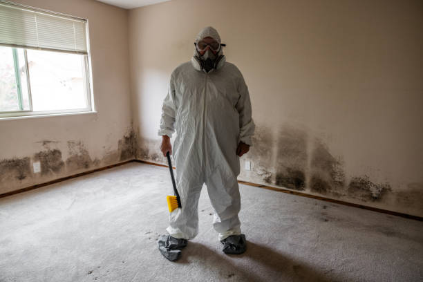 Mold Removal and Inspection in Melwood, MD